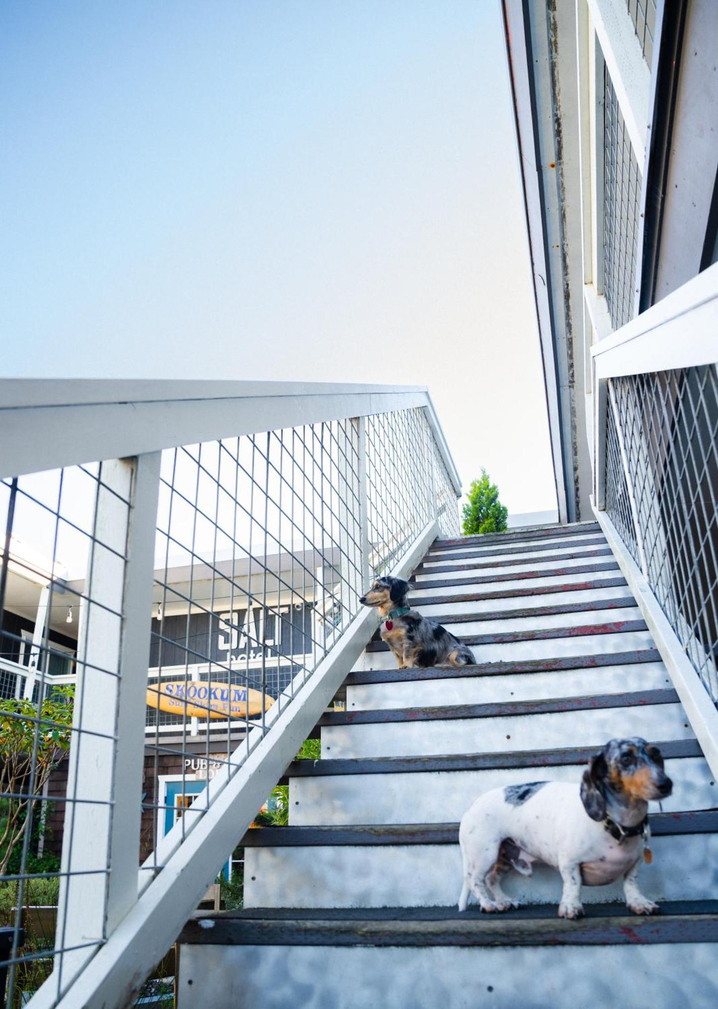 Salt Hotel & Pub Ilwaco 外观 照片